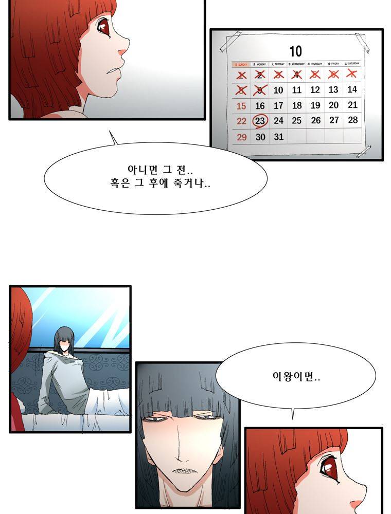 트레이스 장미 16 5