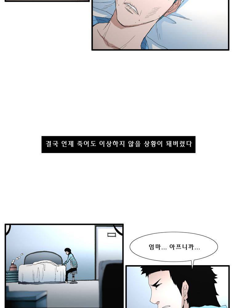 트레이스 장미 16 26