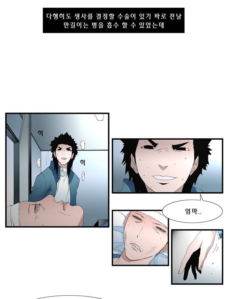 트레이스 장미 16 35