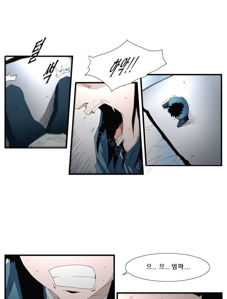 트레이스 장미 16 40