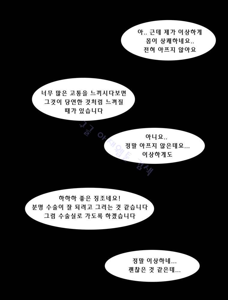트레이스 장미 16 60