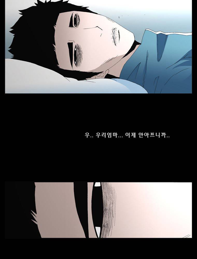 트레이스 장미 16 62