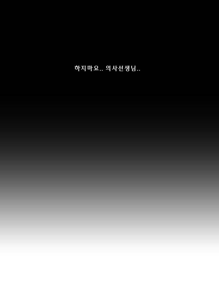 트레이스 장미 16 63