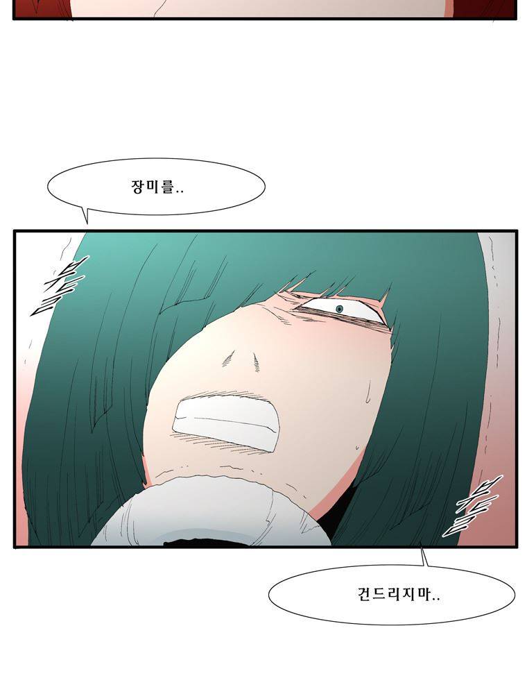 트레이스 장미 26 33