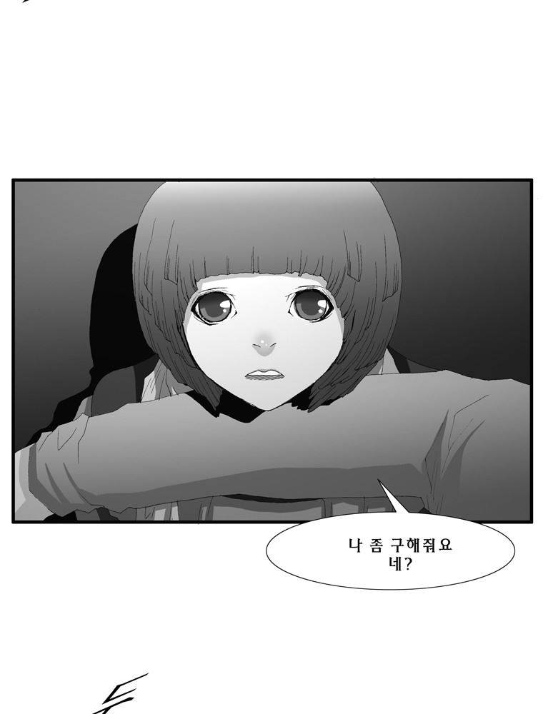트레이스 장미 26 43