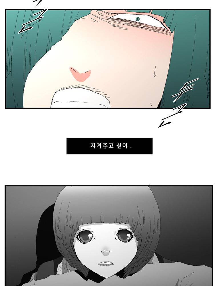 트레이스 장미 26 44