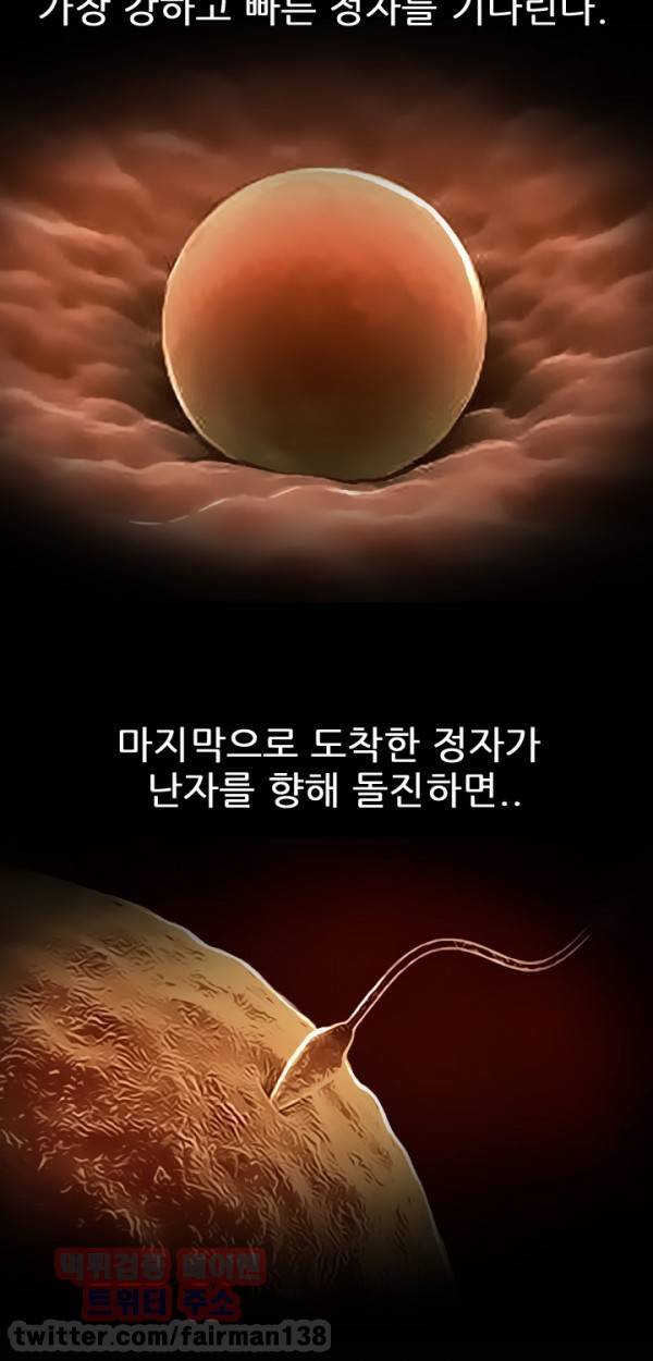 외도 23화 2