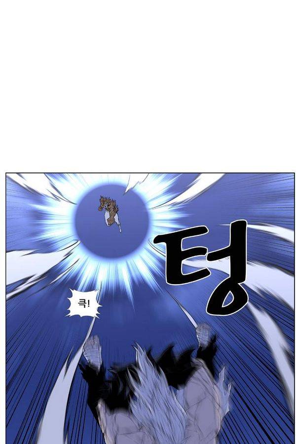 노블레스 441화 8