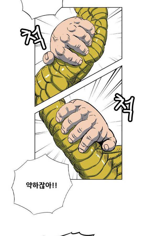 호랑이 형님 2부 24화 - 비녀단의 습격5 5