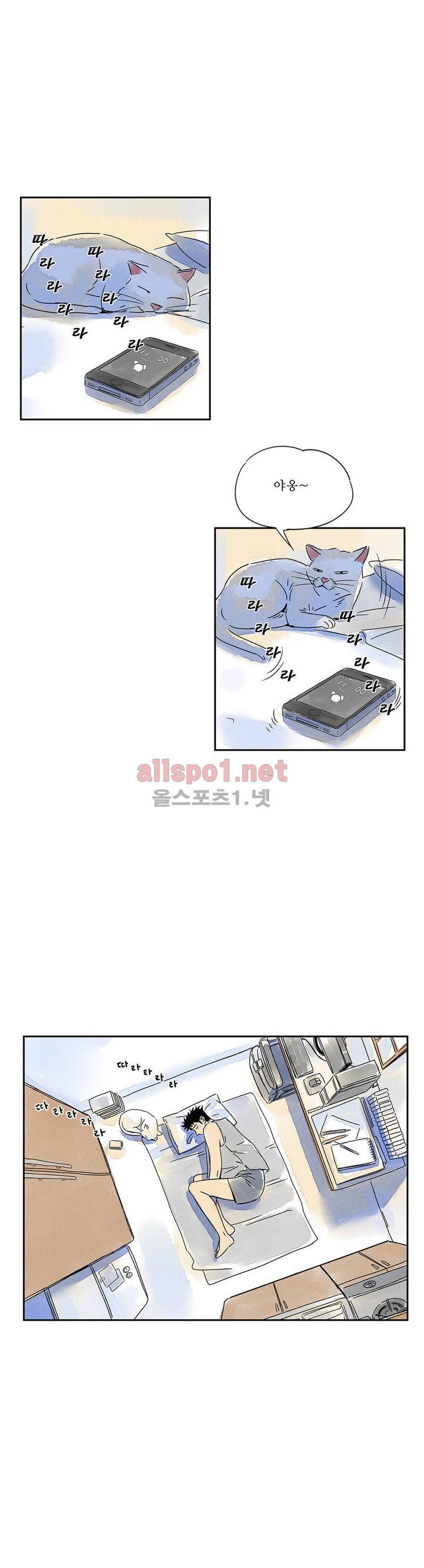 애제자 43화 3
