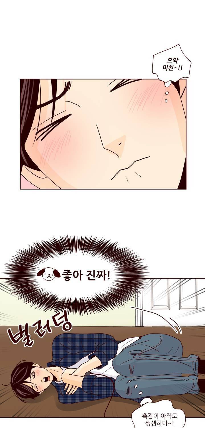 비밀스러운 짝사랑 87화 13