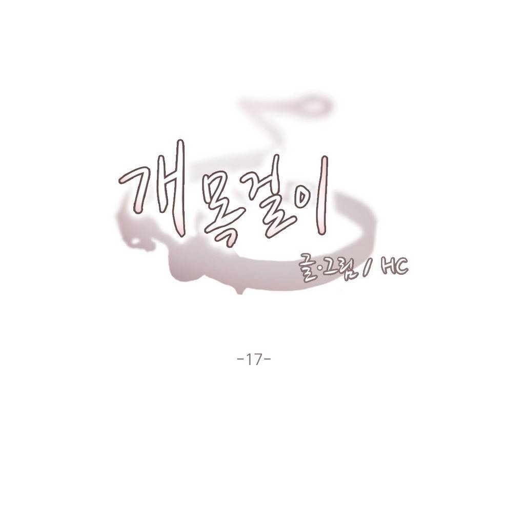 개목걸이 17화 1