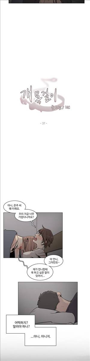 개목걸이 37화 2