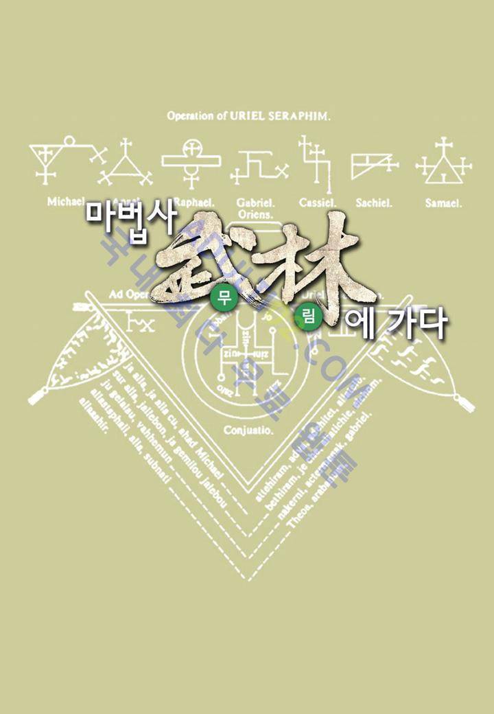 마법사 무림에 가다 11화 1