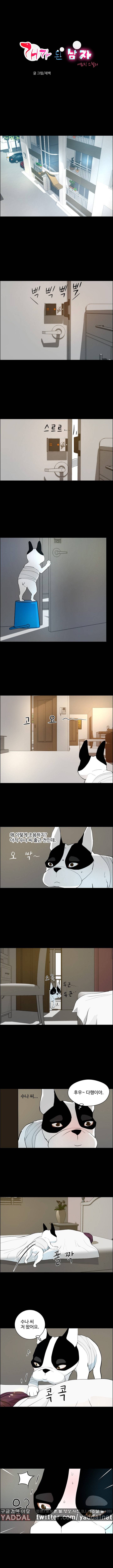 개가 된 남자 19화 1