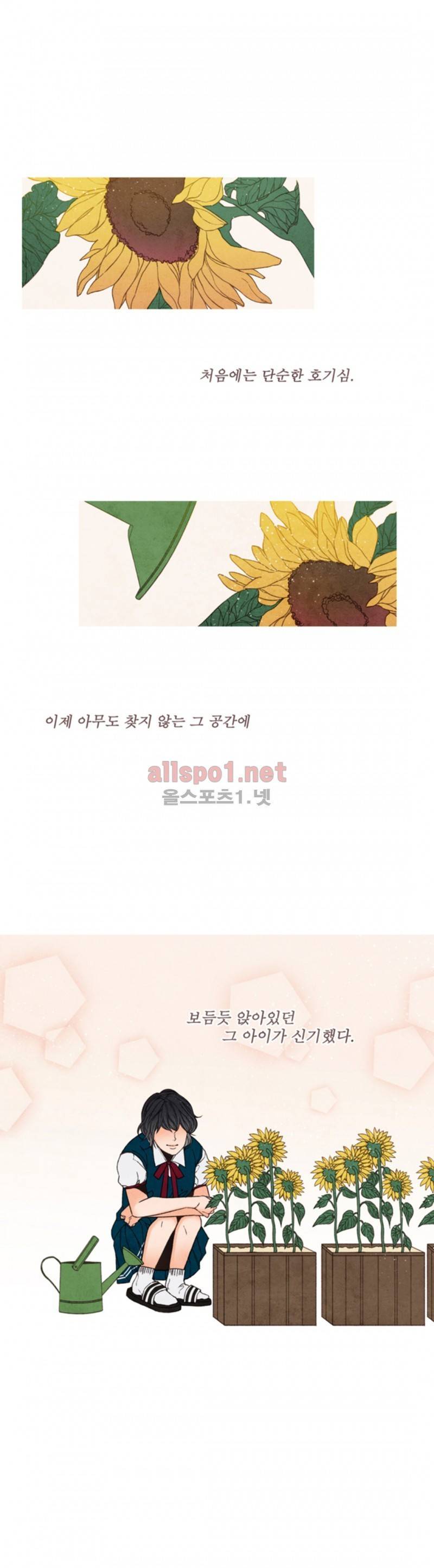 로맨틱 마블링 37화 1