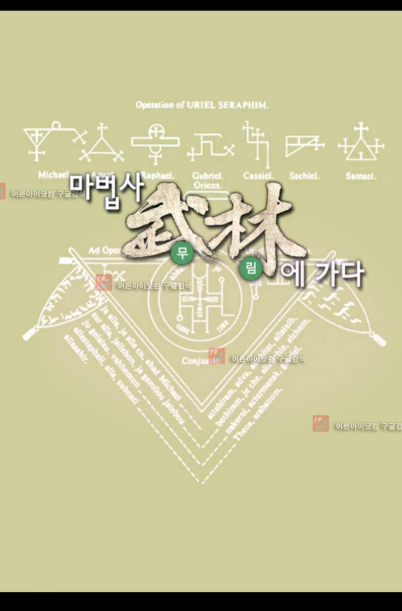 마법사 무림에 가다 37화 1