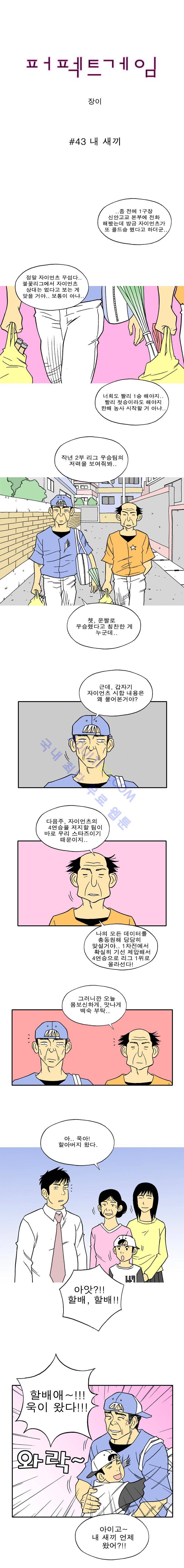 퍼펙트 게임  43화 1
