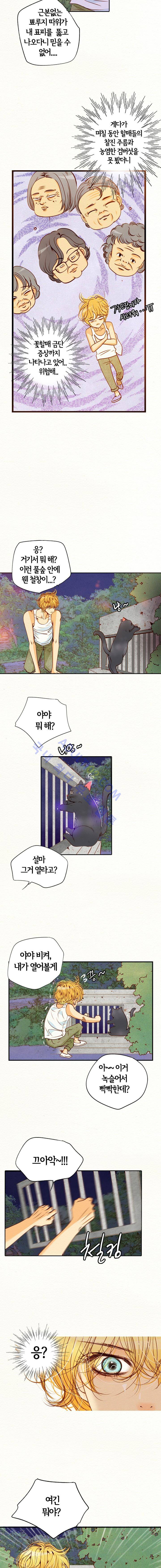 공방의 마녀  82화 2