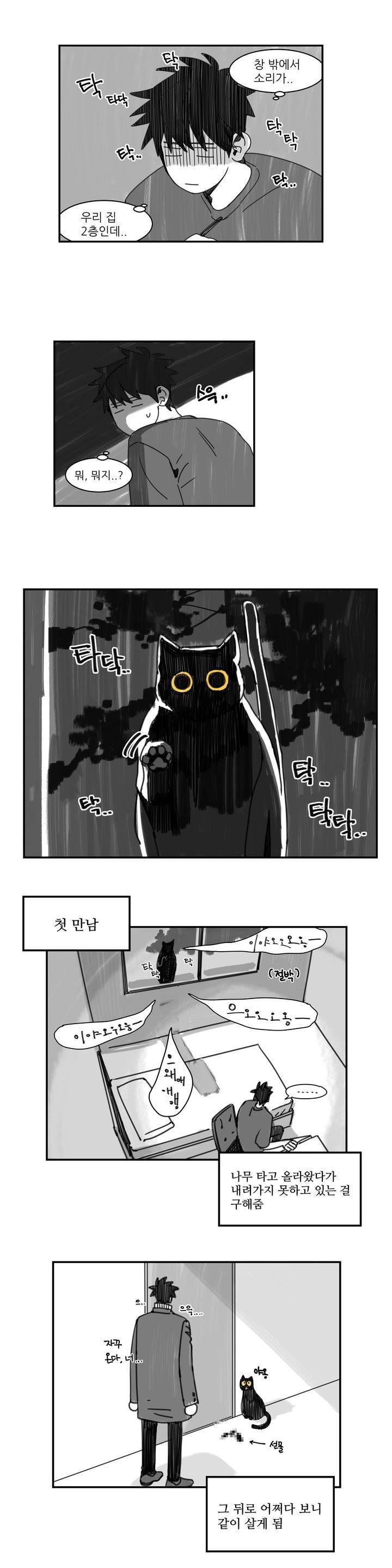 욕망이라는 것에 대하여 휴재 특별편 2