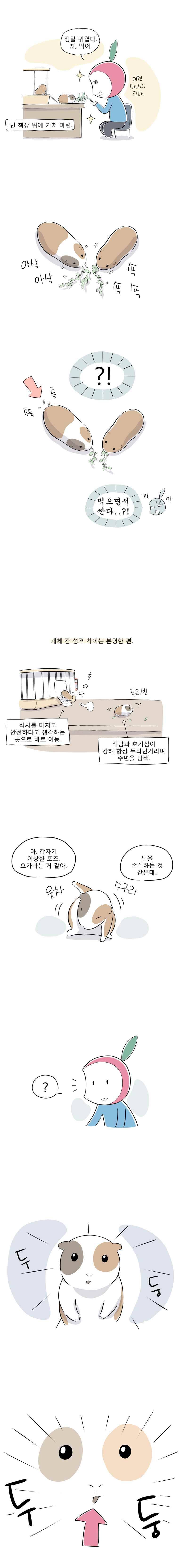 풀 뜯어먹는 소리 51화 기니피그 유리미리 4