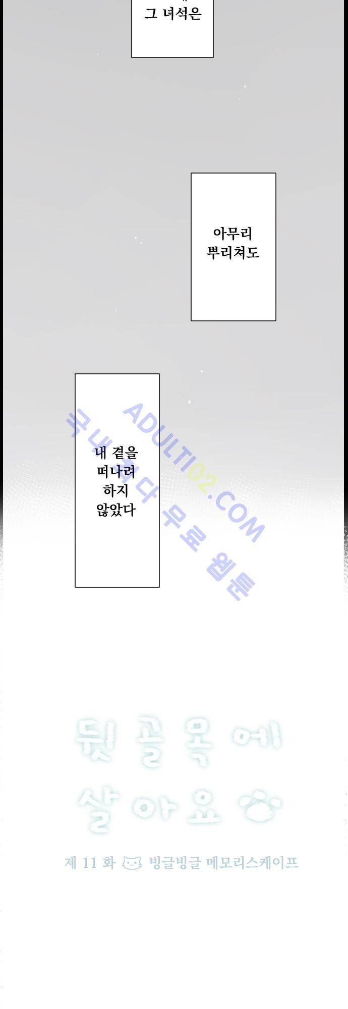 뒷골목에 살아요 11화 3