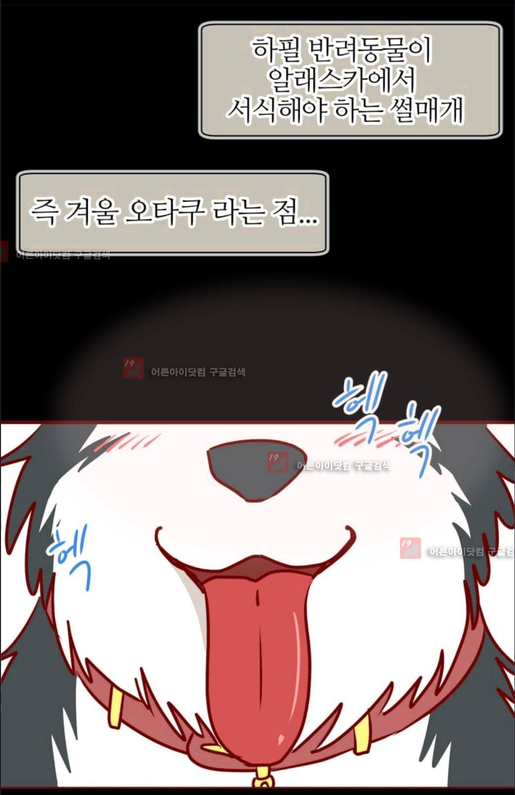 애니멀 아이즈 56화 5