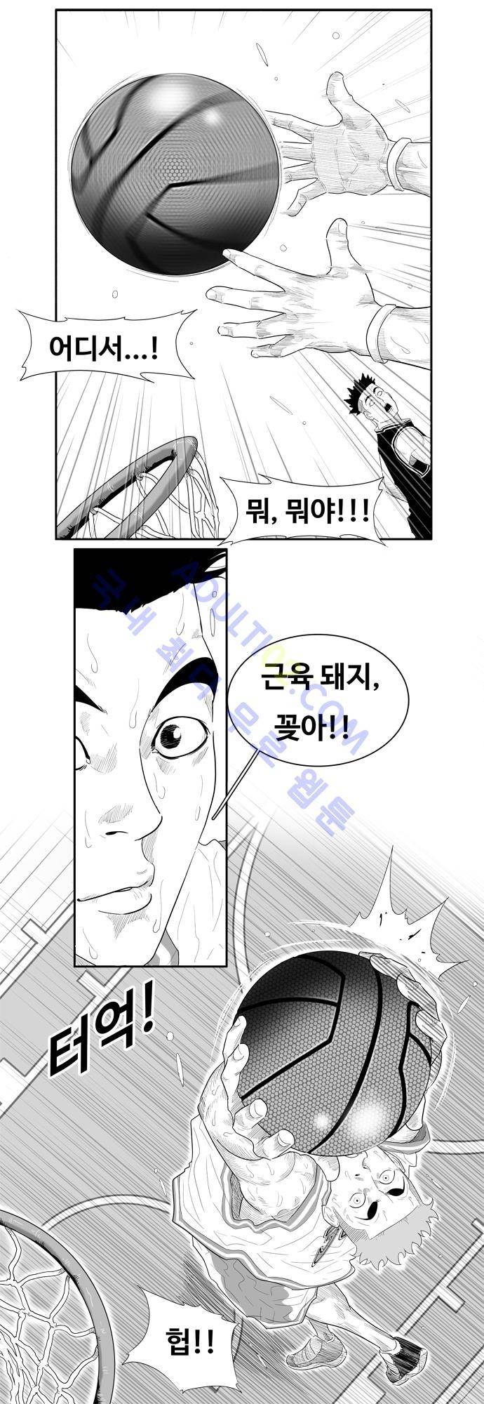 훕스(Hoops) 52화 6