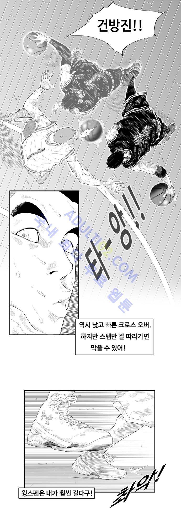 훕스(Hoops) 52화 15