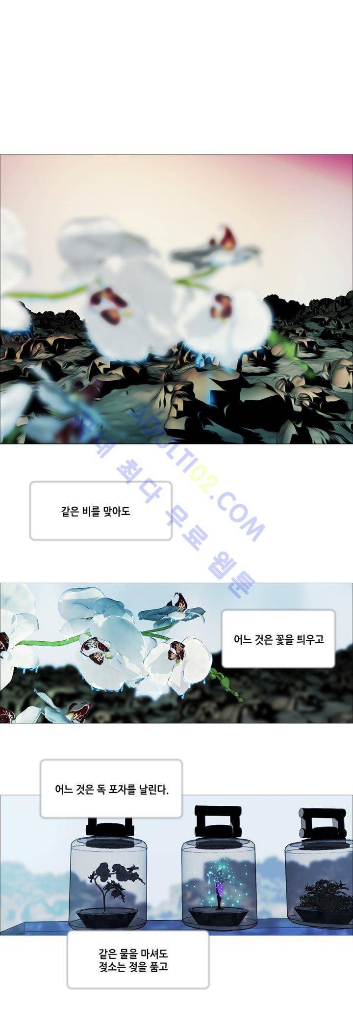 네오나토 50화 1