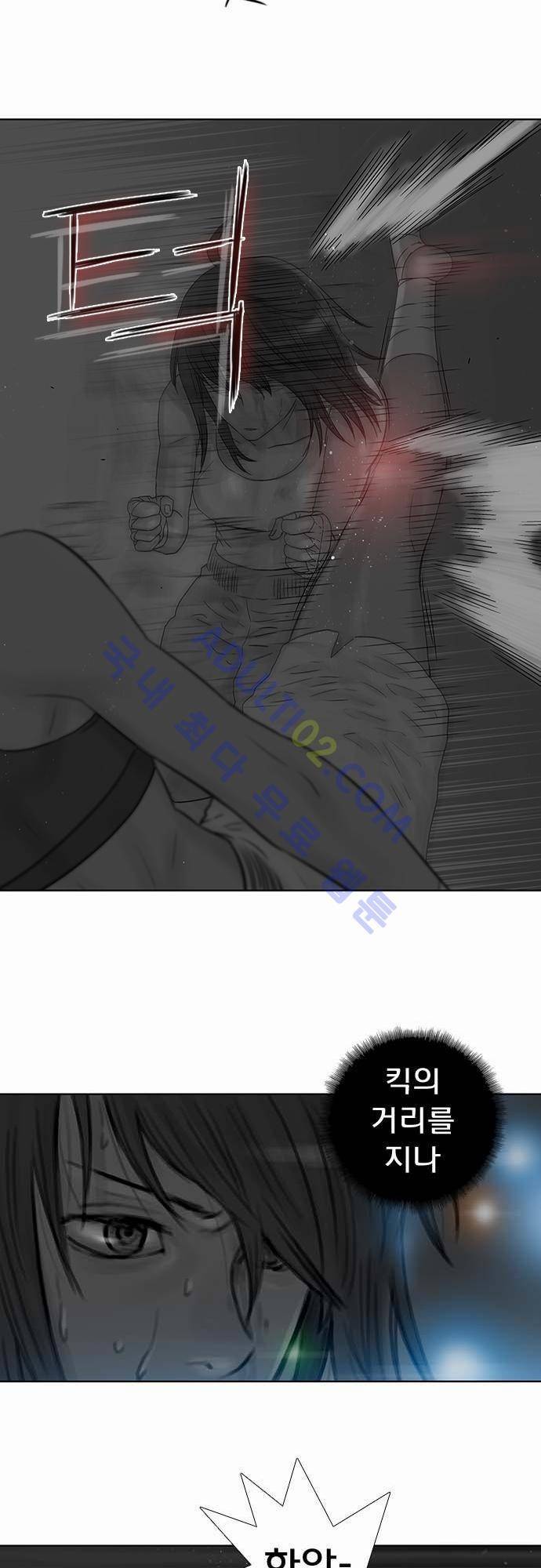너클걸(Knuckle Girl) 55화 20