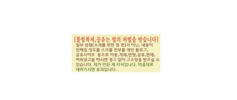 샴  9화 4