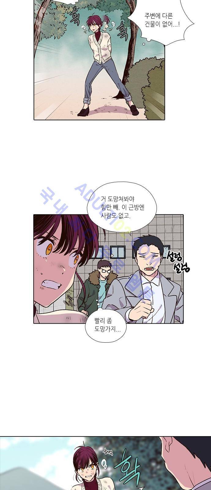 낮에 뜨는 달 177화 5