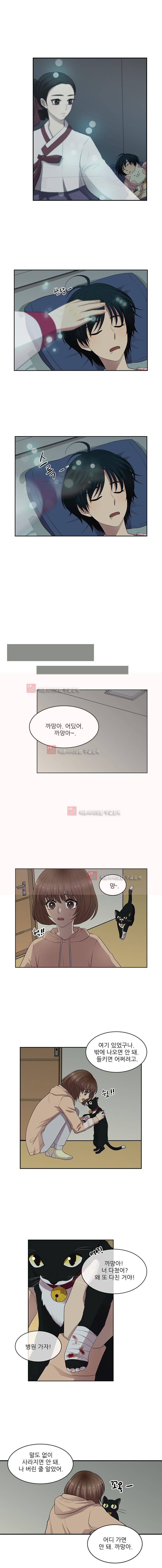 고양이 마마님 16화 2