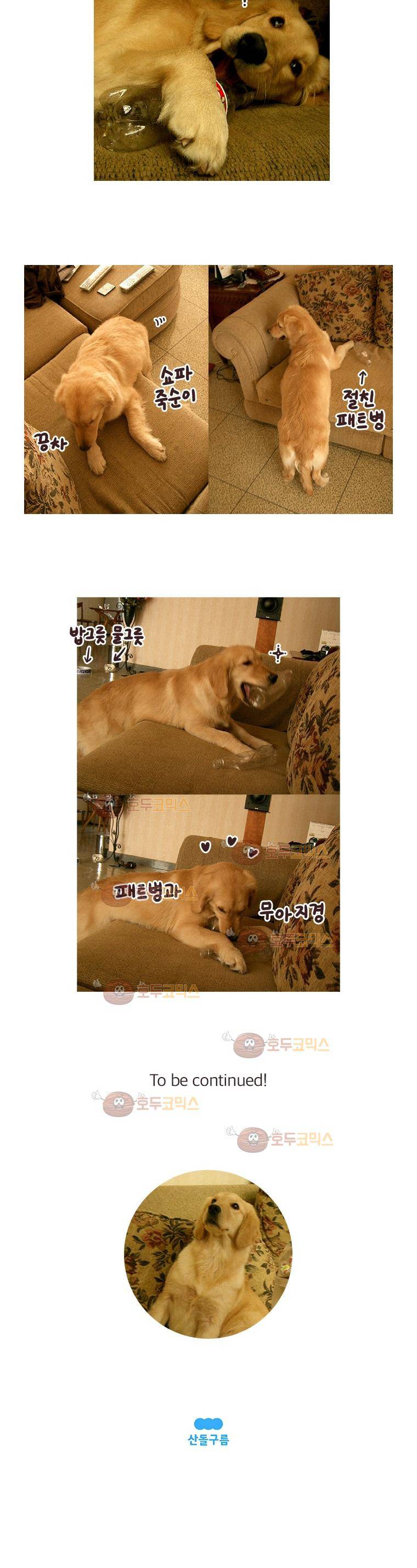 과격자매단 71화 - 이슬이 (상) 5
