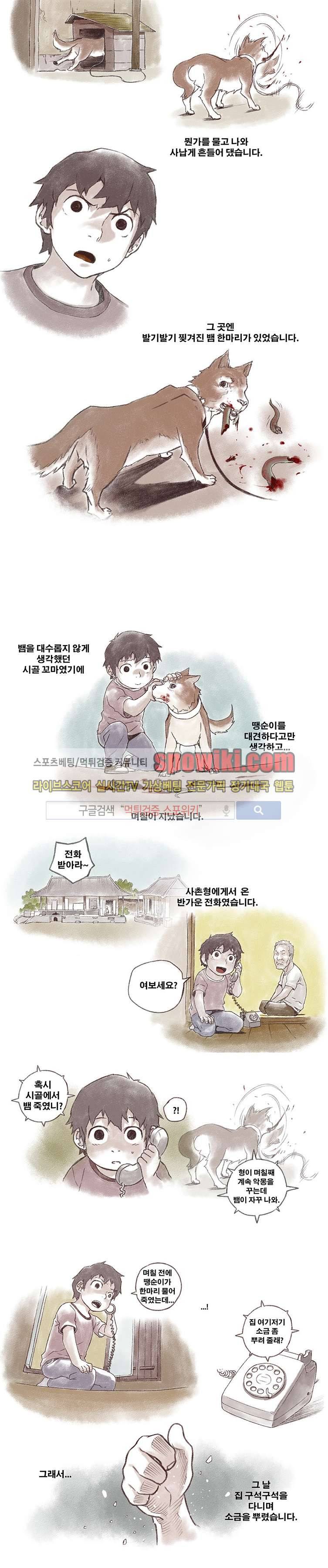 선택받은 아가씨 휴재특별편 영물 3