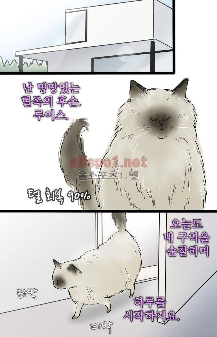 일단 뜨겁게 청소하라?! 43화 1