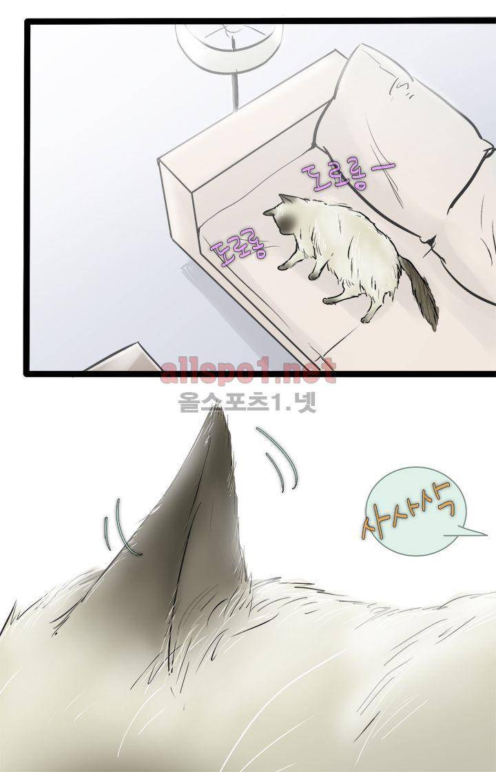 일단 뜨겁게 청소하라?! 43화 7