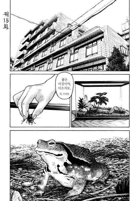 외도의 노래 15화 2