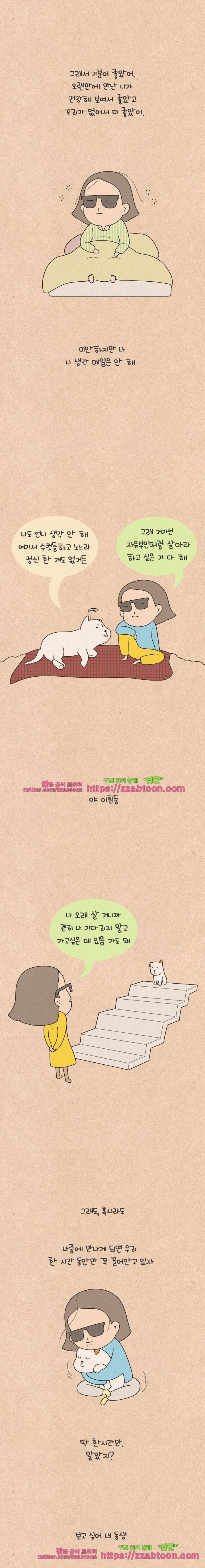 퀴퀴한 일기-138. 흰둥이에게 8