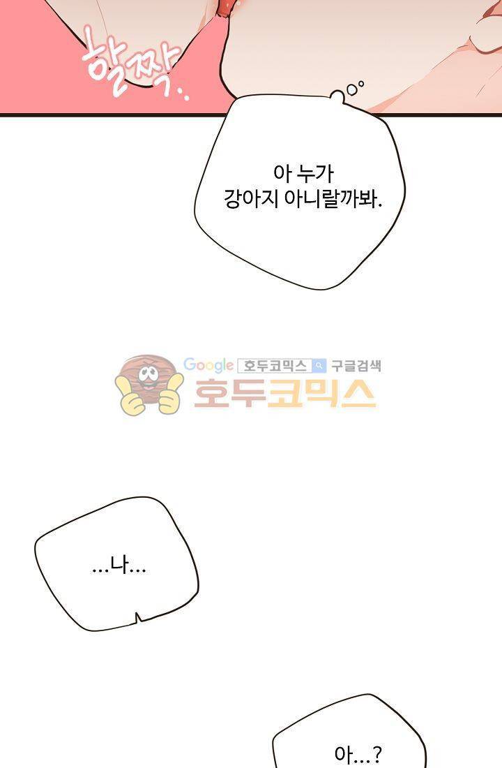 멍멍냥냥 8화 - 짜증나! 43