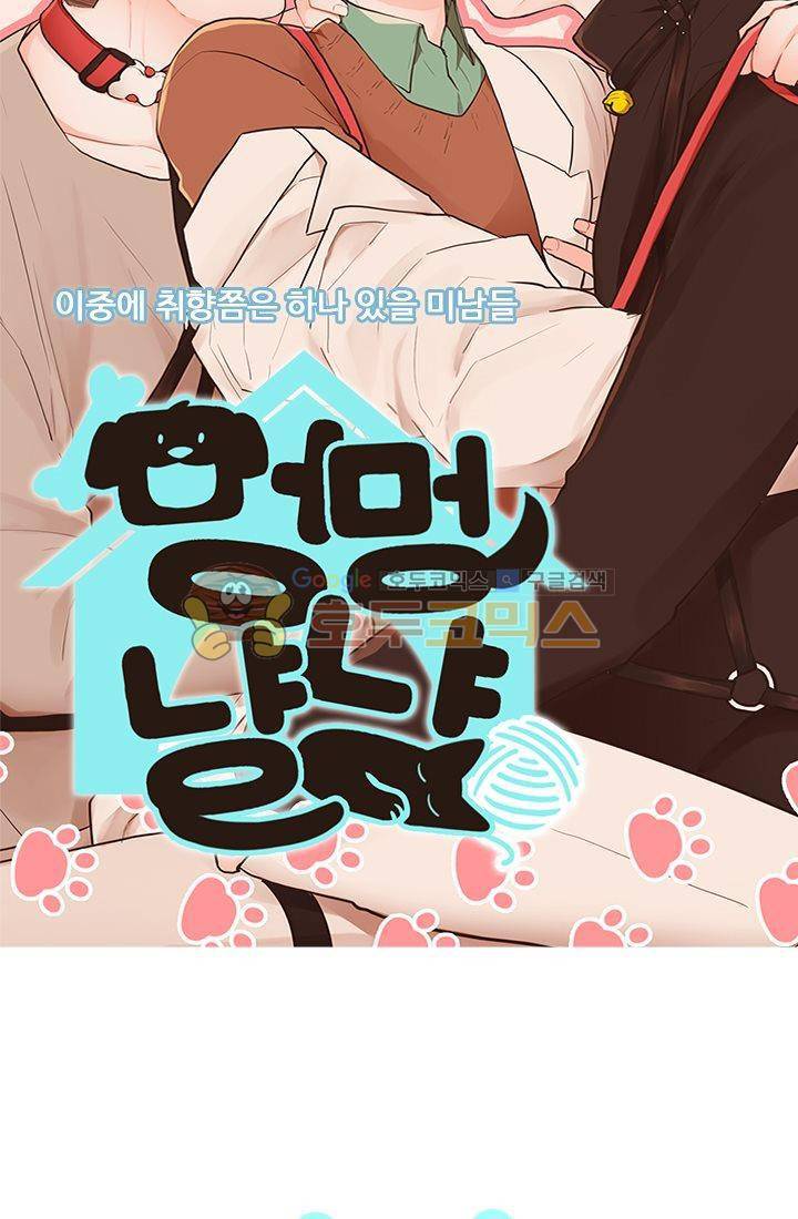 멍멍냥냥 19화 - 일이 끝나면 새로운 일이 시작되지! 5