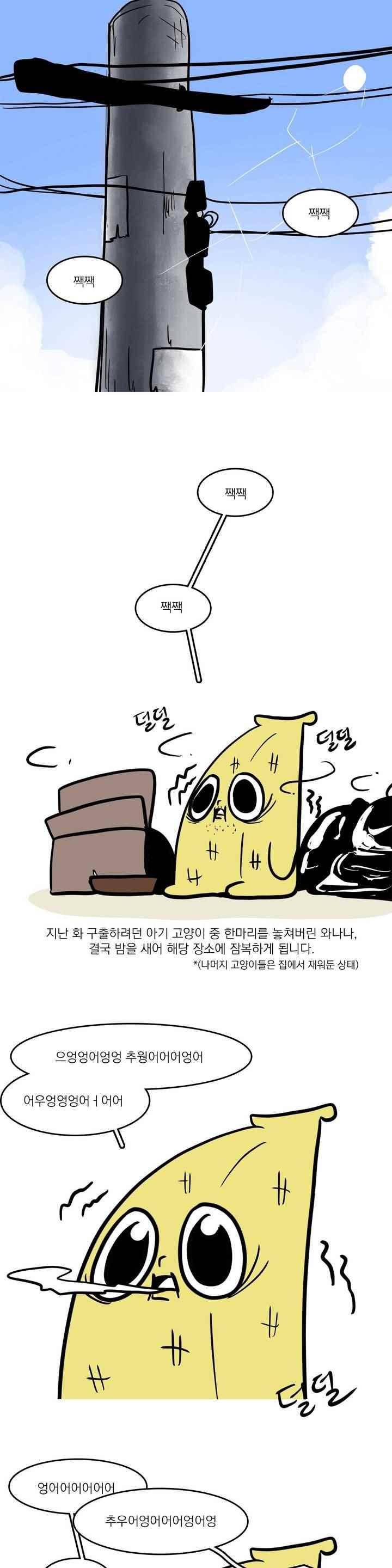 바나나툰 44화 1
