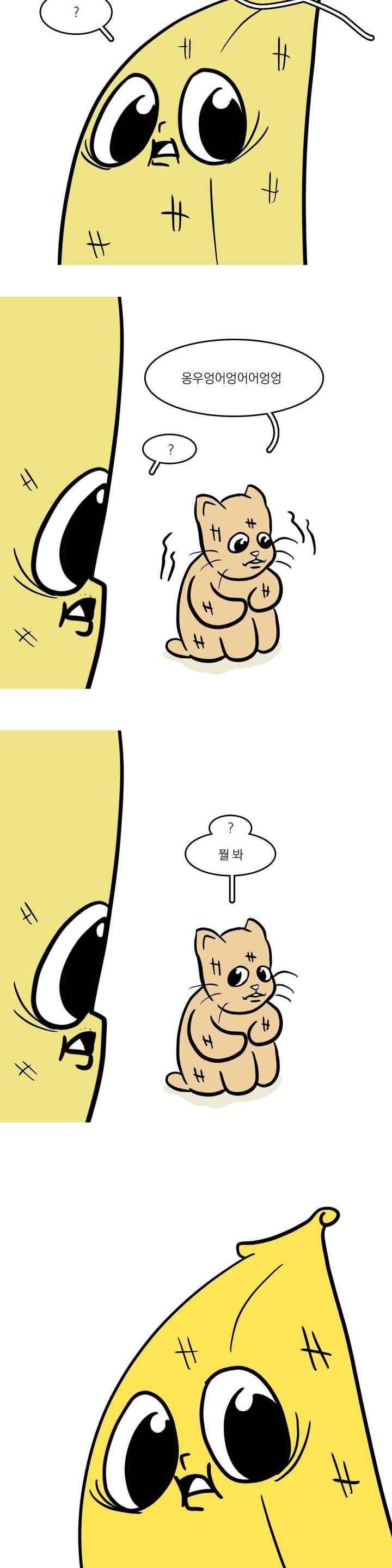 바나나툰 44화 2