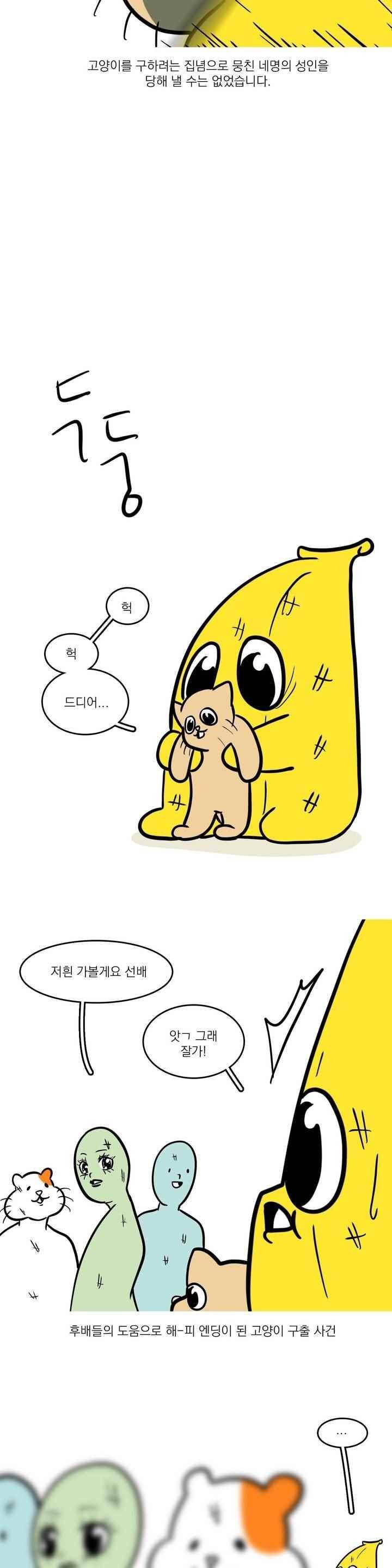 바나나툰 44화 12
