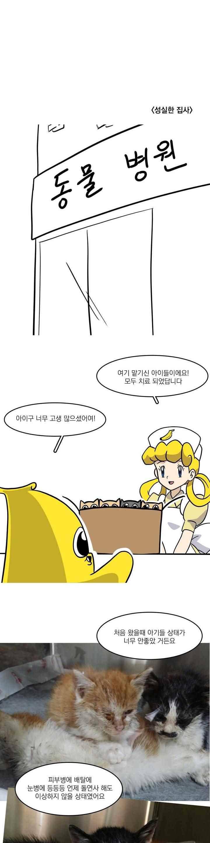 바나나툰 44화 14
