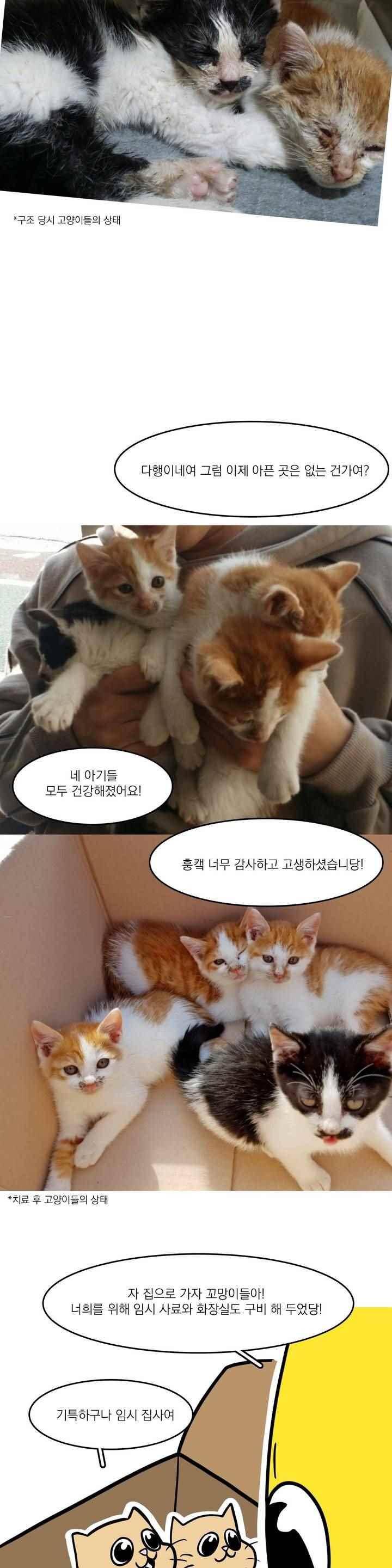 바나나툰 44화 15