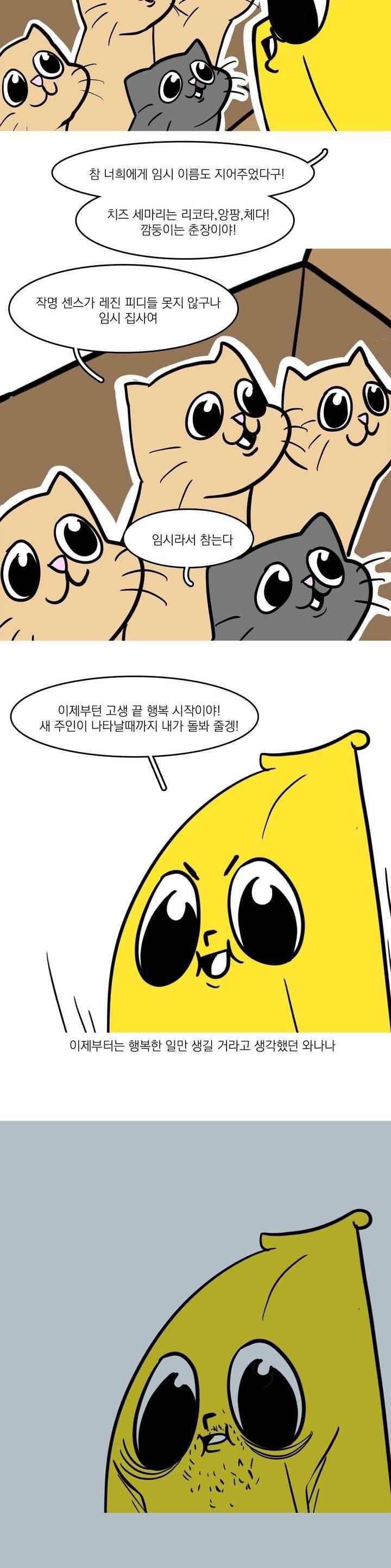 바나나툰 44화 16