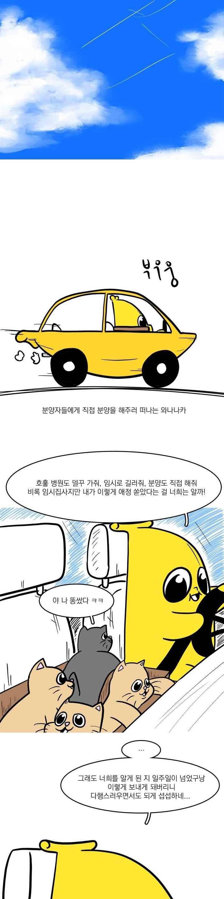 바나나툰 44화 21