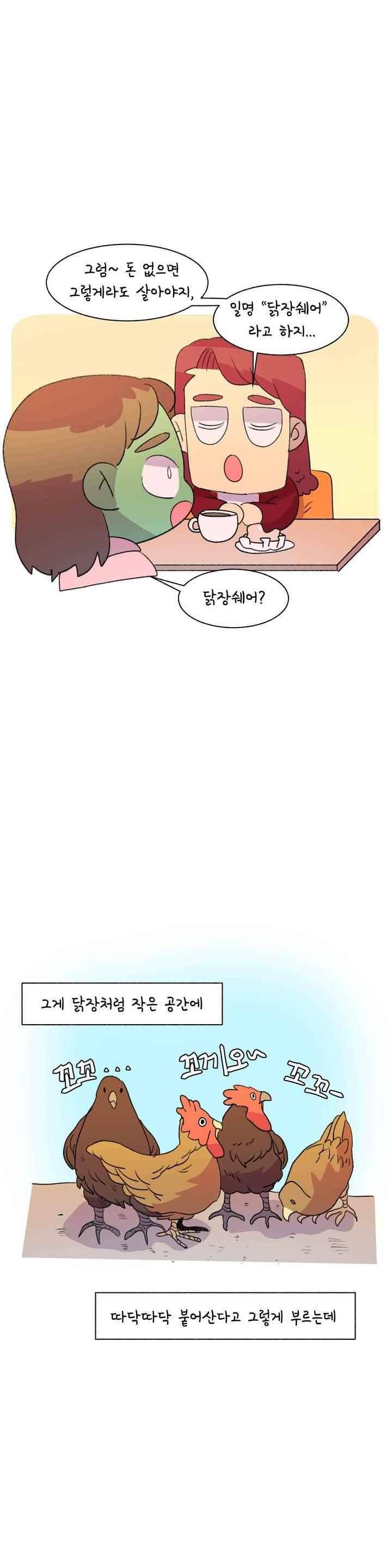 국제연애 절대로 하지 마라 71화 5